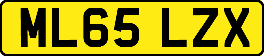 ML65LZX