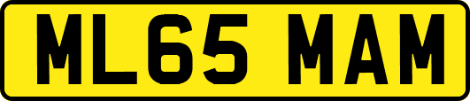 ML65MAM