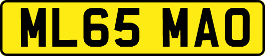 ML65MAO