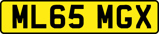ML65MGX