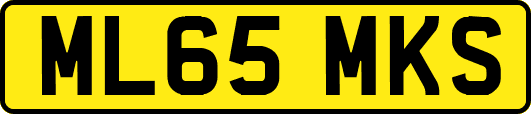 ML65MKS