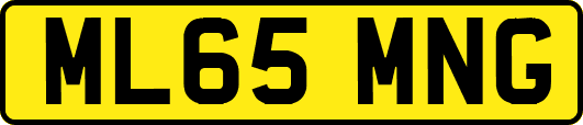 ML65MNG