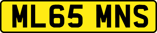 ML65MNS