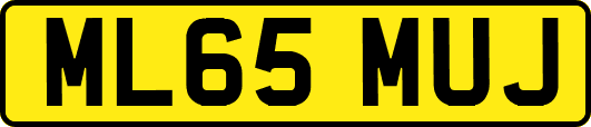 ML65MUJ