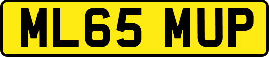 ML65MUP