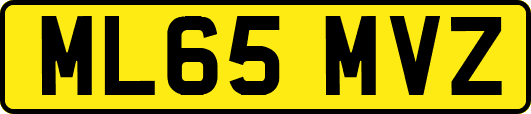 ML65MVZ