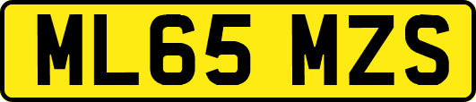 ML65MZS