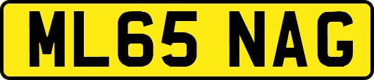 ML65NAG