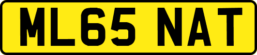 ML65NAT