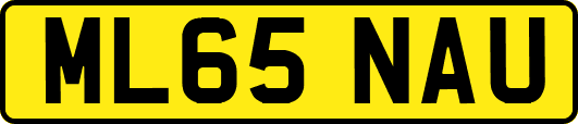 ML65NAU