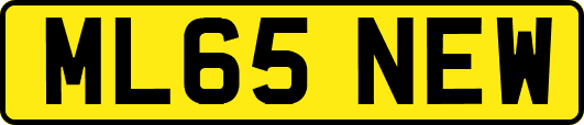 ML65NEW
