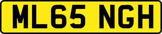 ML65NGH