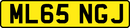 ML65NGJ