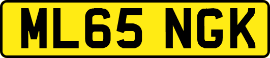 ML65NGK