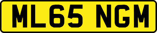 ML65NGM