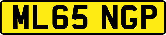 ML65NGP