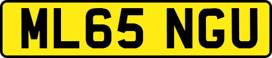 ML65NGU