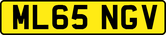ML65NGV
