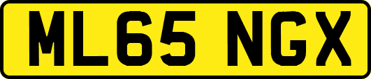 ML65NGX