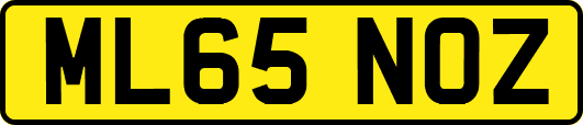 ML65NOZ