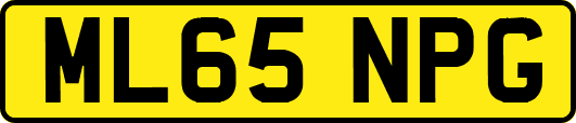 ML65NPG