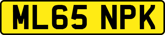 ML65NPK