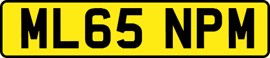 ML65NPM
