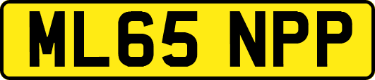 ML65NPP