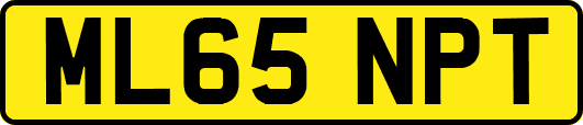 ML65NPT