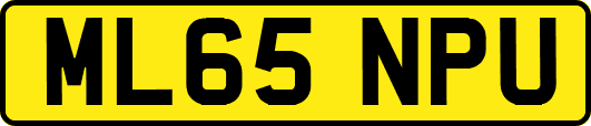 ML65NPU