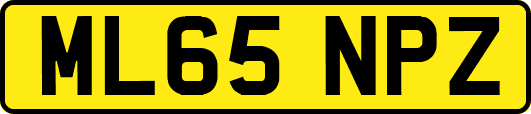 ML65NPZ