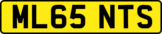 ML65NTS