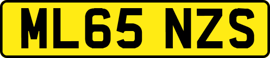 ML65NZS