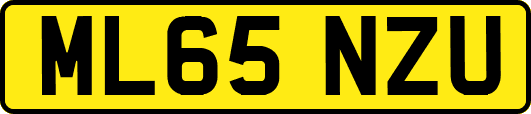 ML65NZU