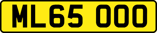 ML65OOO