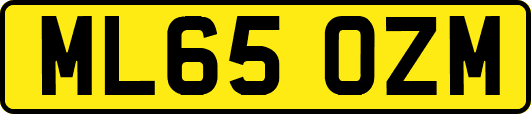 ML65OZM