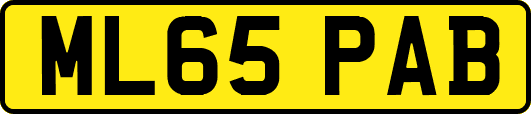ML65PAB