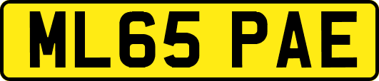 ML65PAE