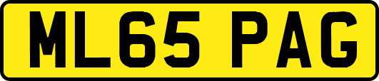 ML65PAG