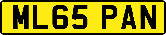 ML65PAN