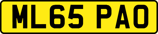 ML65PAO