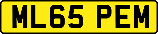 ML65PEM