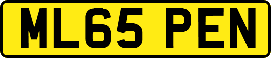 ML65PEN