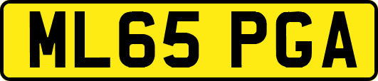 ML65PGA