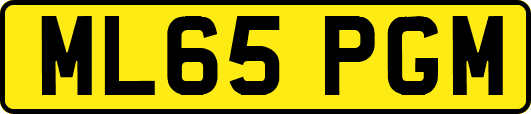 ML65PGM