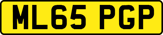 ML65PGP