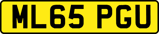ML65PGU