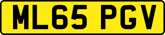 ML65PGV