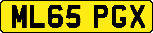 ML65PGX