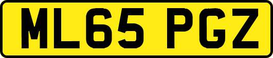 ML65PGZ